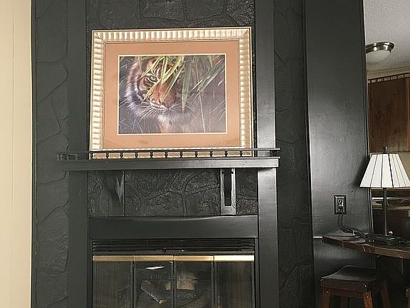 Fireplace with log set