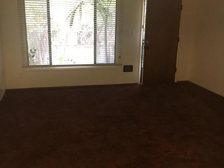 4590 Palm Ave #4590 — Photo 10