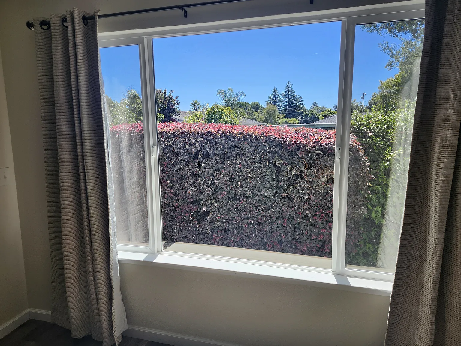 2 bed, 1.5 bath, 960 sqft, $3,900 — Photo 3