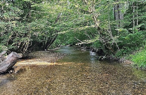 2nd image of 442 Newburn Hollow Rd