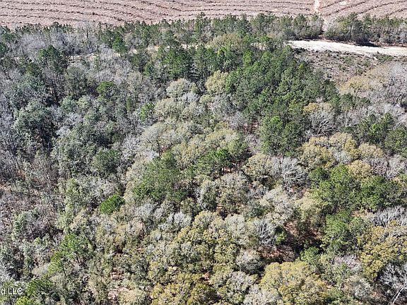 4th image of Flournoy Rd