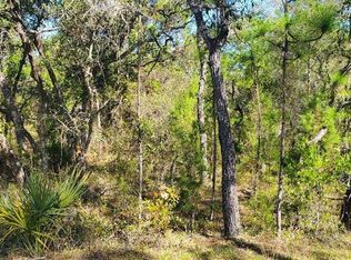 LOT 56 Michigan Ave Lot 56, Brooksville, FL 34613