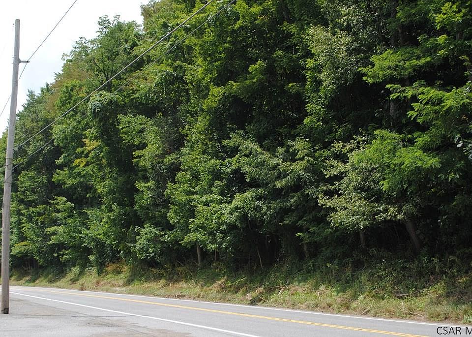 2nd image of Forest Hills Dr