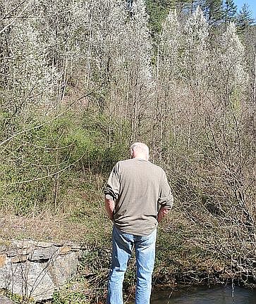 Pond in Spring 2020