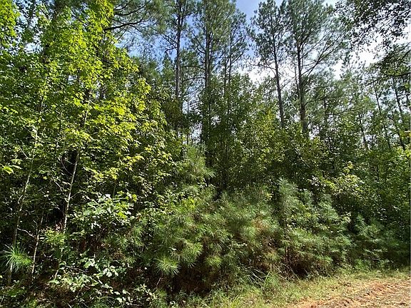 4th image of 0 State Highway 69