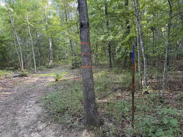 2603 Northcutts Cove Rd, Beersheba Springs, TN 37305