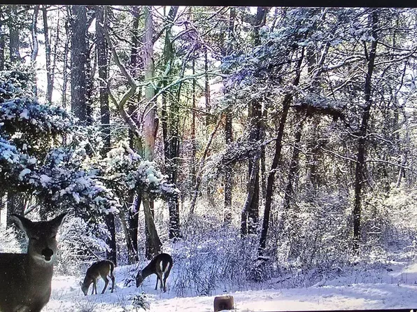 10th St, Hammonton, NJ 08037