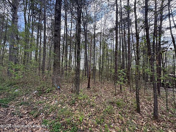 2nd image of Lower Bottom Rd