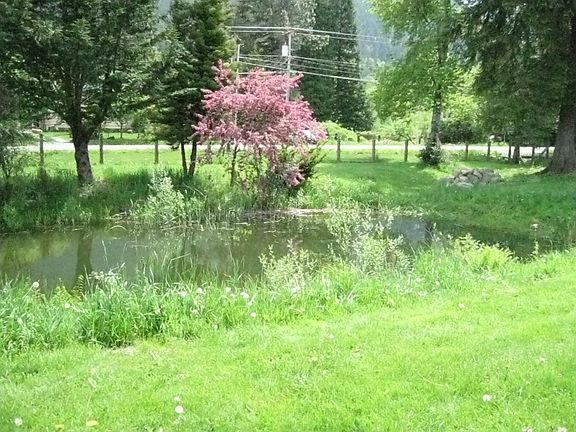 pond