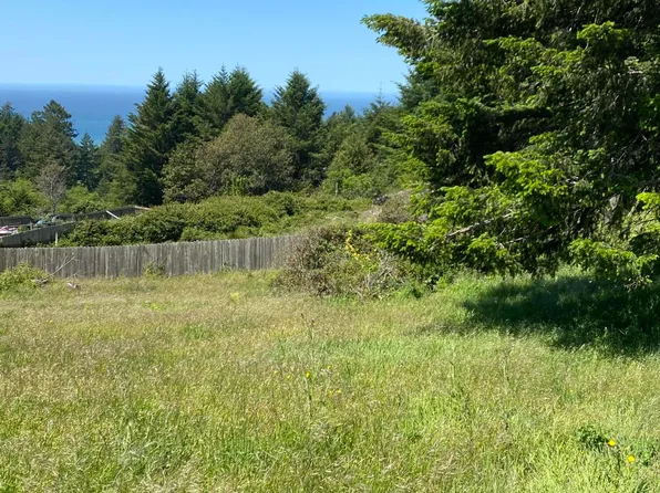 28 Debbie Ln, Whitethorn, CA 95589