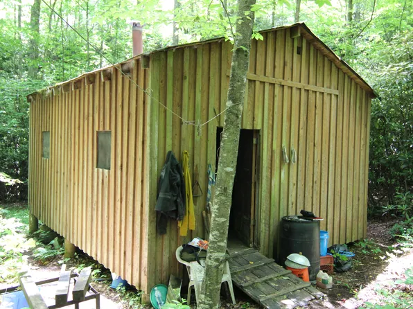 363 Doe Mountain Private Ln, Mountain City, TN 37683