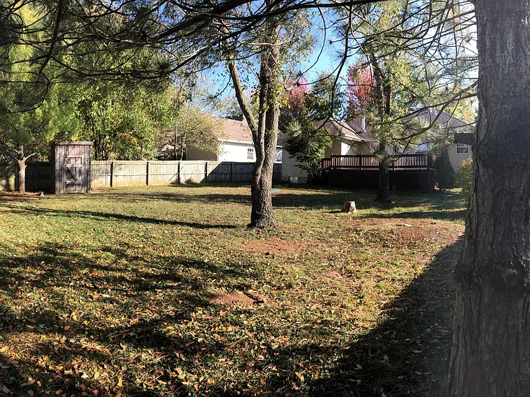 Large backyard