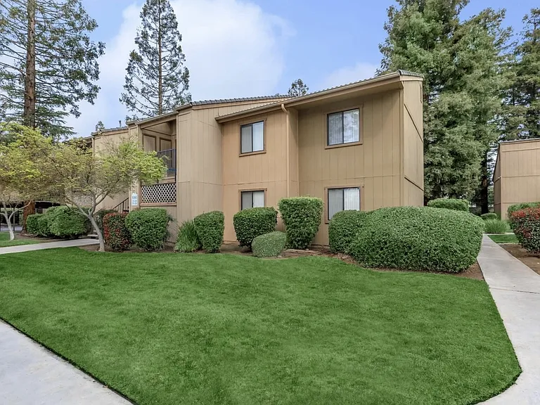Pine Tree Village — Photo 12