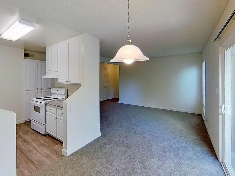 Kitchen and Living Area