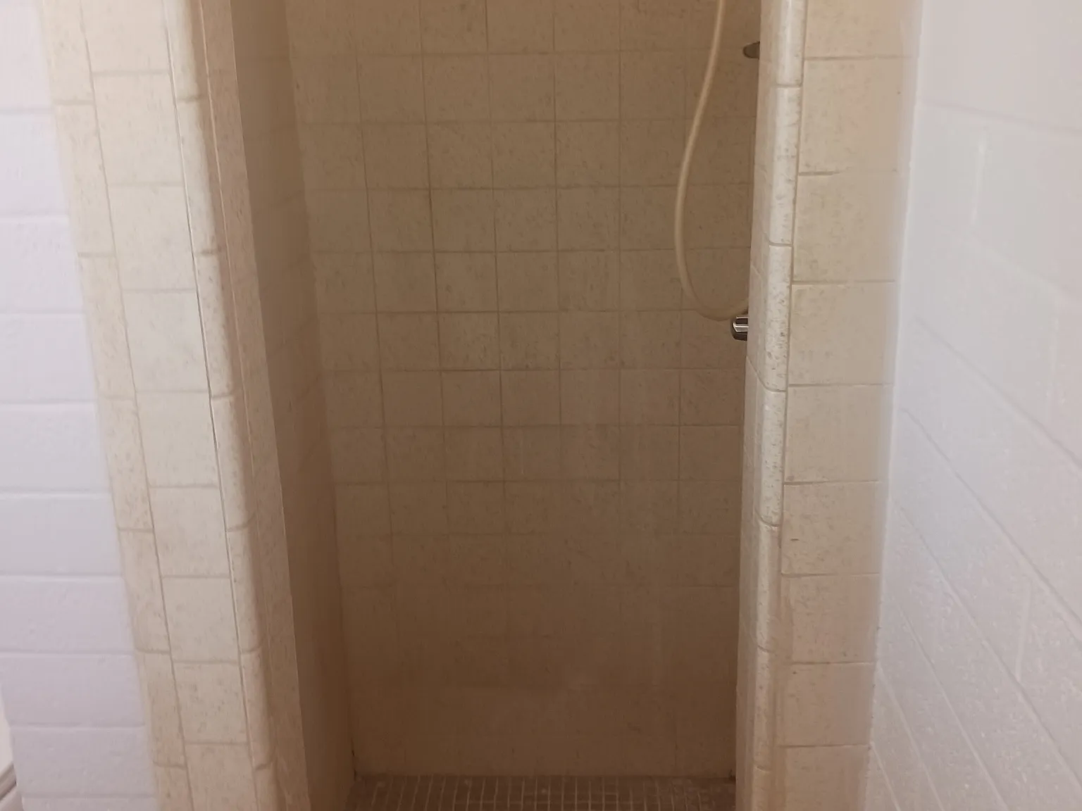 Studio, $625 — Photo 2