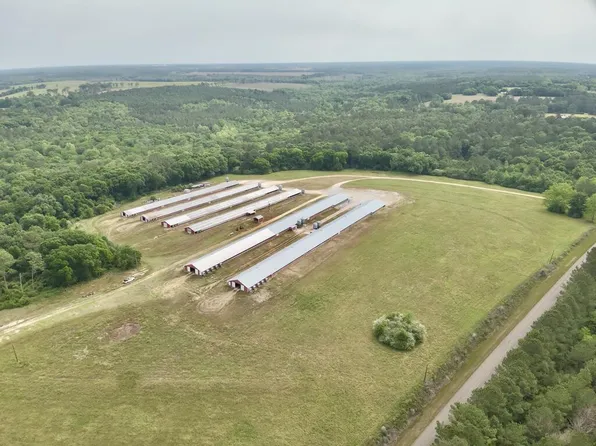 2065 County Road 6, Black, AL 36314