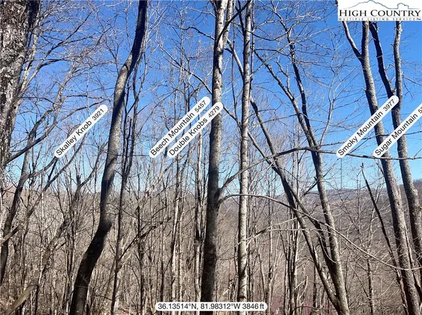 Lot 24 Jewel Weed, Newland, NC 28657