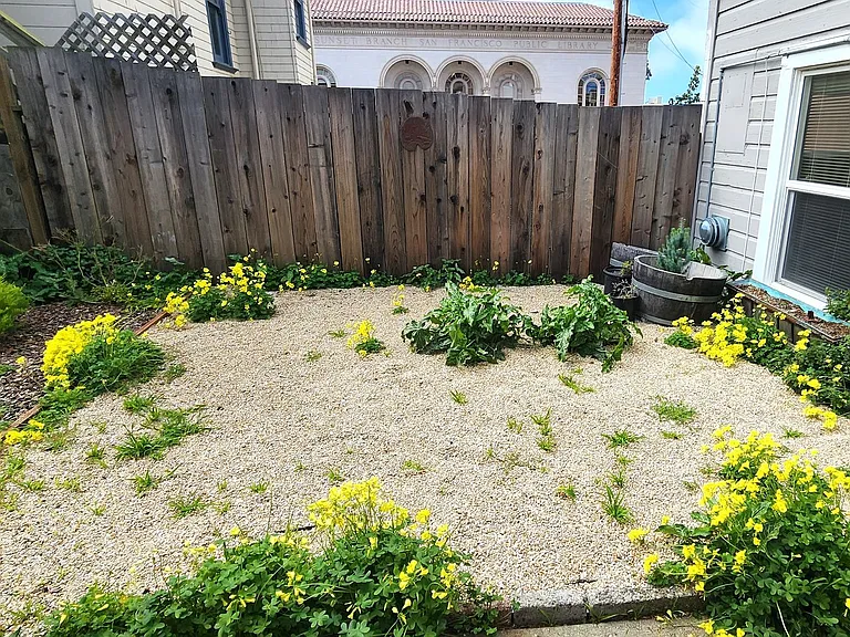1645 Irving St #B — Photo 5