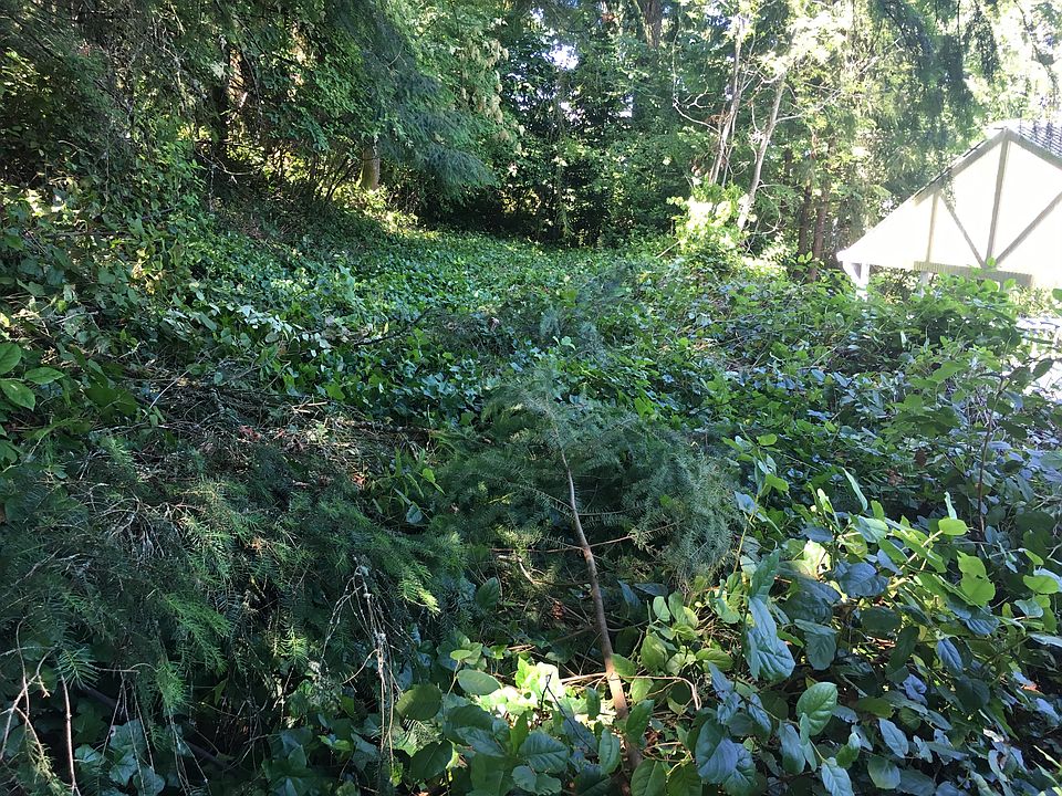 2nd image of 4615 140th Pl SE