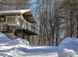 95 White Pines Rd, Reading, VT 05062