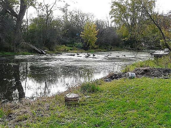 5th image of 35223 N Shoreline Dr
