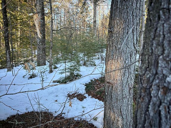 4th image of M7L22,L31 Nelson Ridge Road N