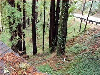 5th image of 11790 Highway 9