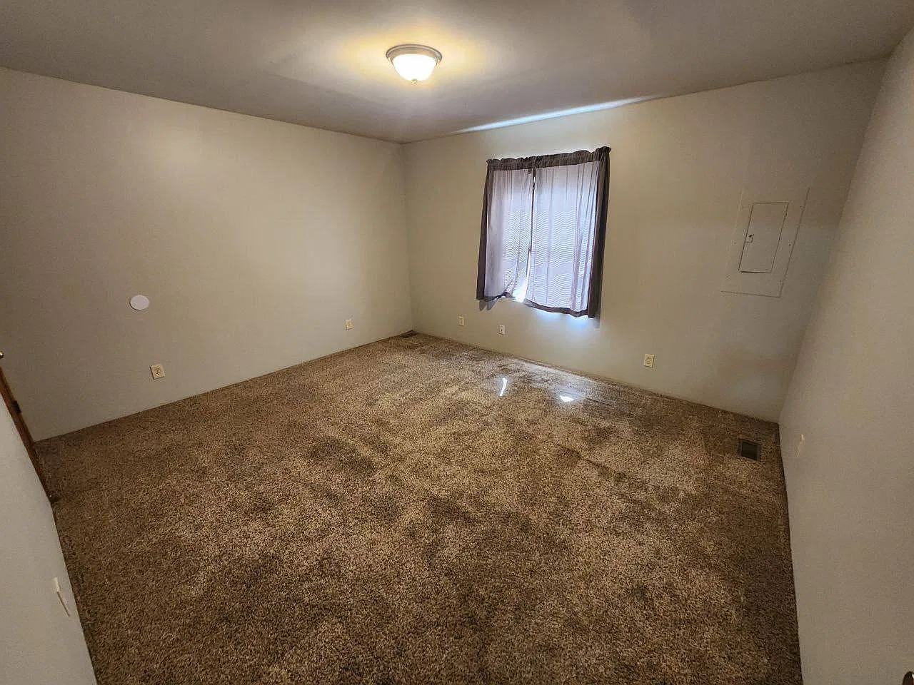 1 bed, $750 — Photo 3