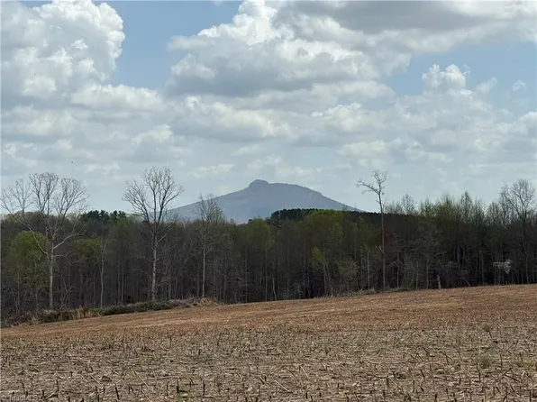 Tbd Eldora Rd, Ararat, NC 27007