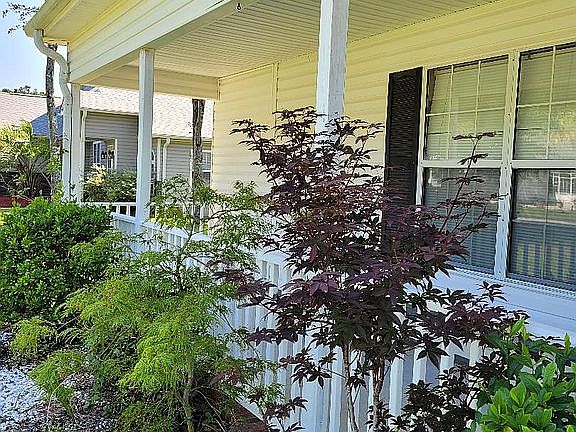 Japanese Maples added 2021