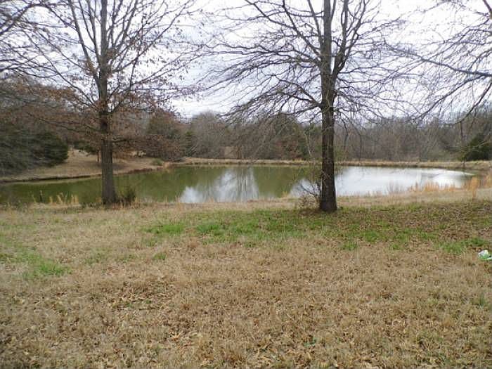 Pond