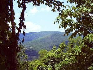 1st image of 695 Little Mountain Dr