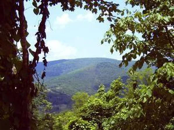 695 Little Mountain Dr, Hillsboro, WV 24946