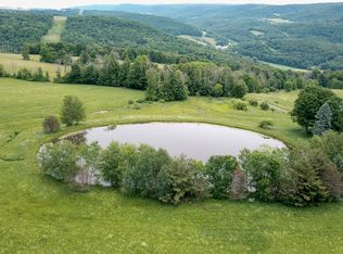 166 Ladder Rd LOT WP001, Roaring Branch, PA 17765