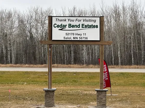 52170 State Highway 11 Lot 29, Salol, MN 56756