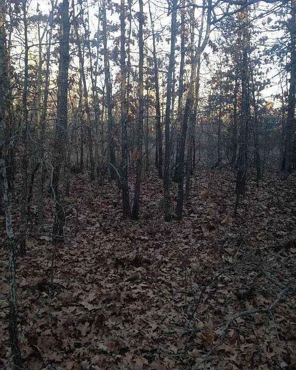 2nd image of 1771 Summit Rd