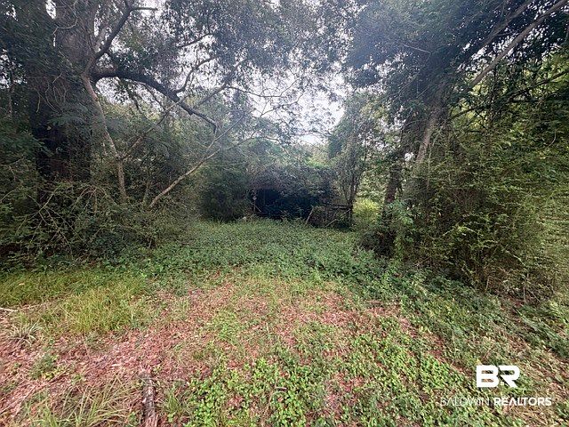 2nd image of 0 Ridge Rd