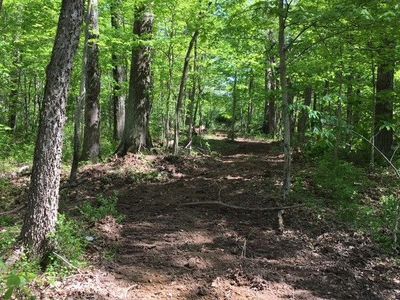 0 Bear Creek Rd, Felicity, OH, 45120