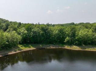 N4054 Deep Lake Rd, Sarona, WI 54870