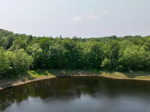 N4054 Deep Lake Road, Sarona, WI 54870