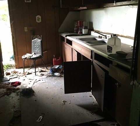 5th image of 157 Gibson Ln