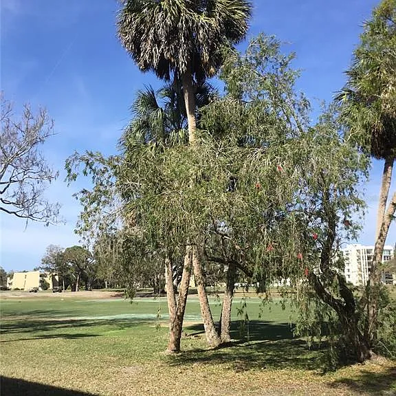 44 Country Club Dr #44 — Photo 30