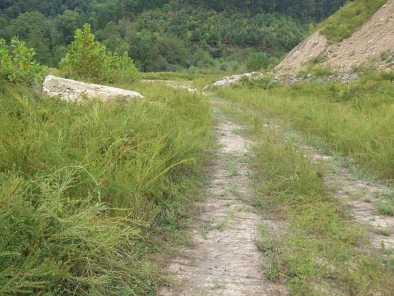 4th image of 0 Jake Wireman Fork Rd #267