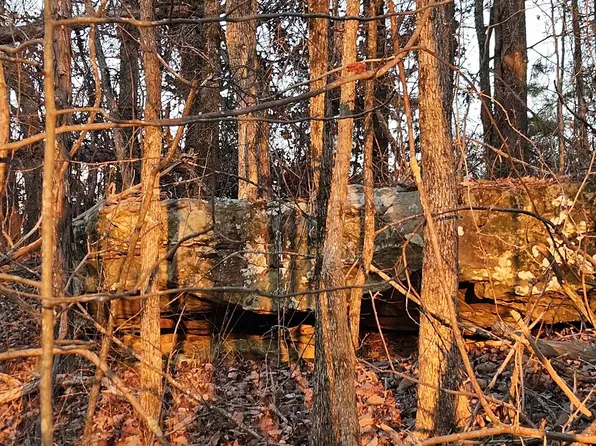 0 Underwood Mountain Rd, Tuscumbia, AL 35674