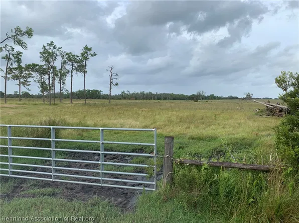 1017 Cattle Ranch Rd, Venus, FL 33960