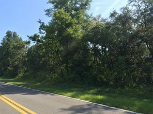 6488 Madonna Dr, WEBSTER, FL 33597