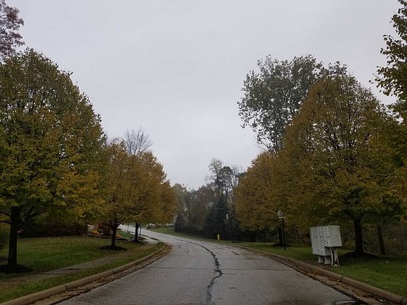 4th image of 14829 Thornton Dr