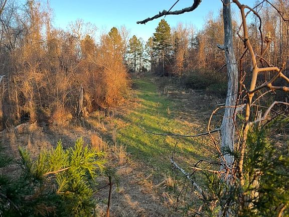 5th image of 11255 Old Port Gibson Rd