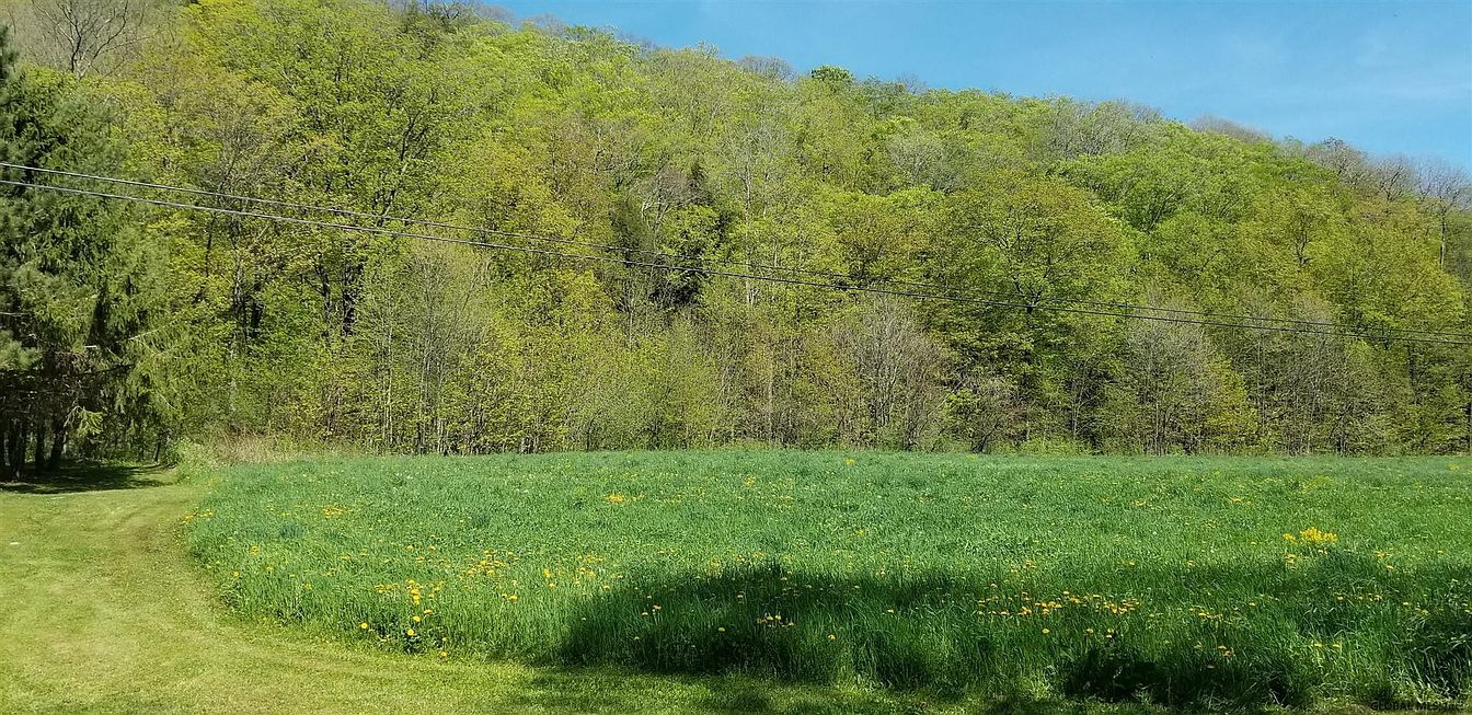 1st image of BLY HOLLOW Road