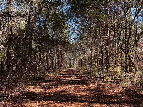 X Hosford Hwy, Quincy, FL 32351